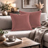 Set 2 Federe Cuscini Divano - 40x40 - Velluto - Rosa - Copricuscini Decorativi per Divano Soggiorno Camera da Letto - Cerniera Zip - Modello Monroe